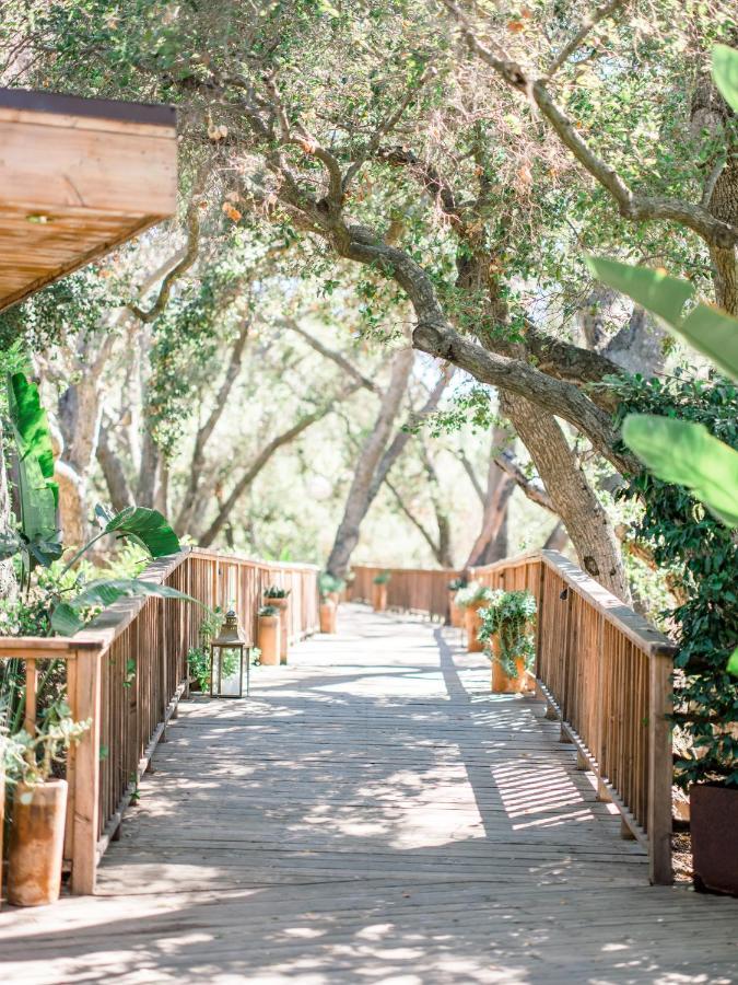 Calamigos Guest Ranch And Club Malibu