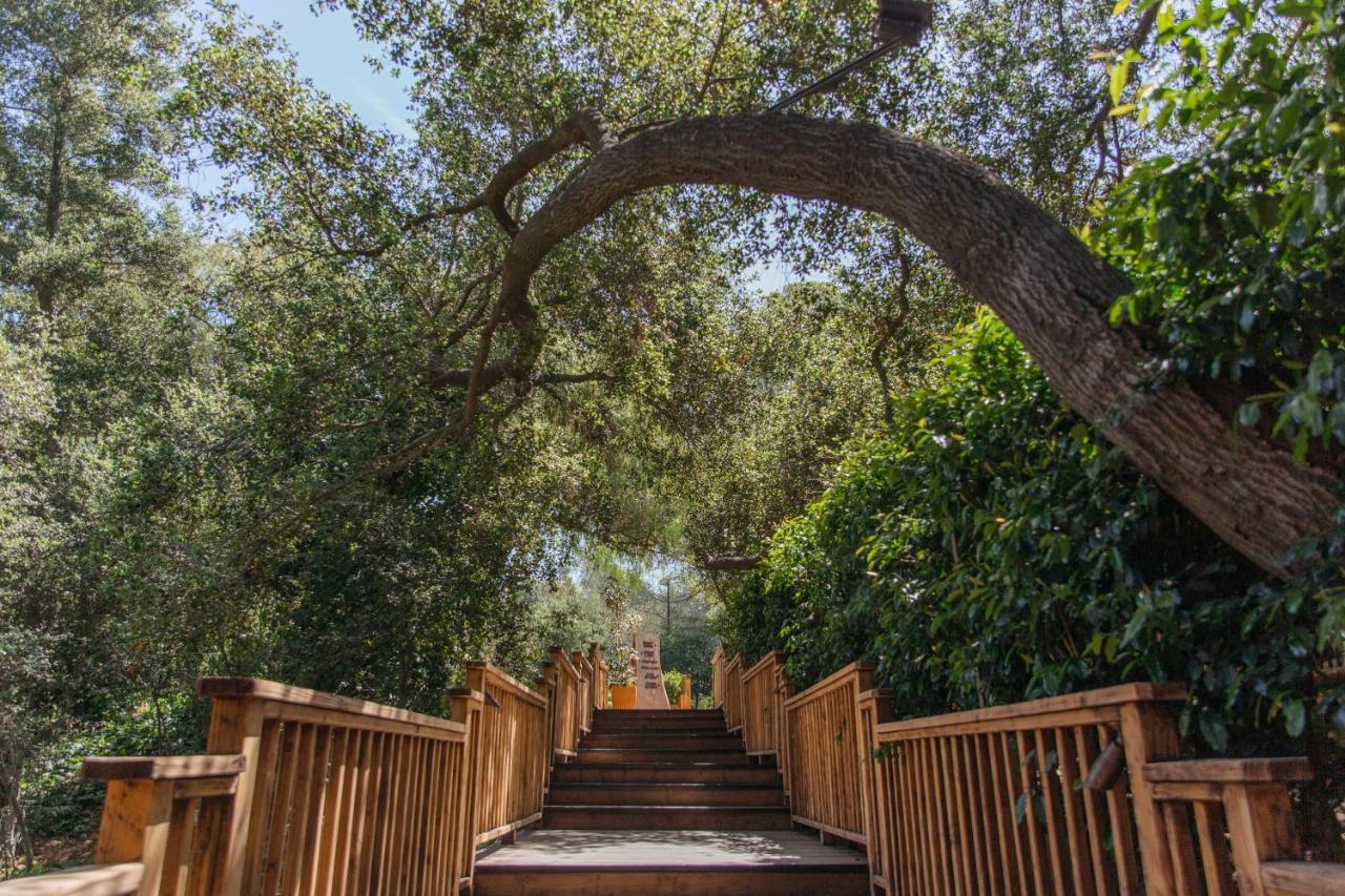 Calamigos Guest Ranch And Club 5*