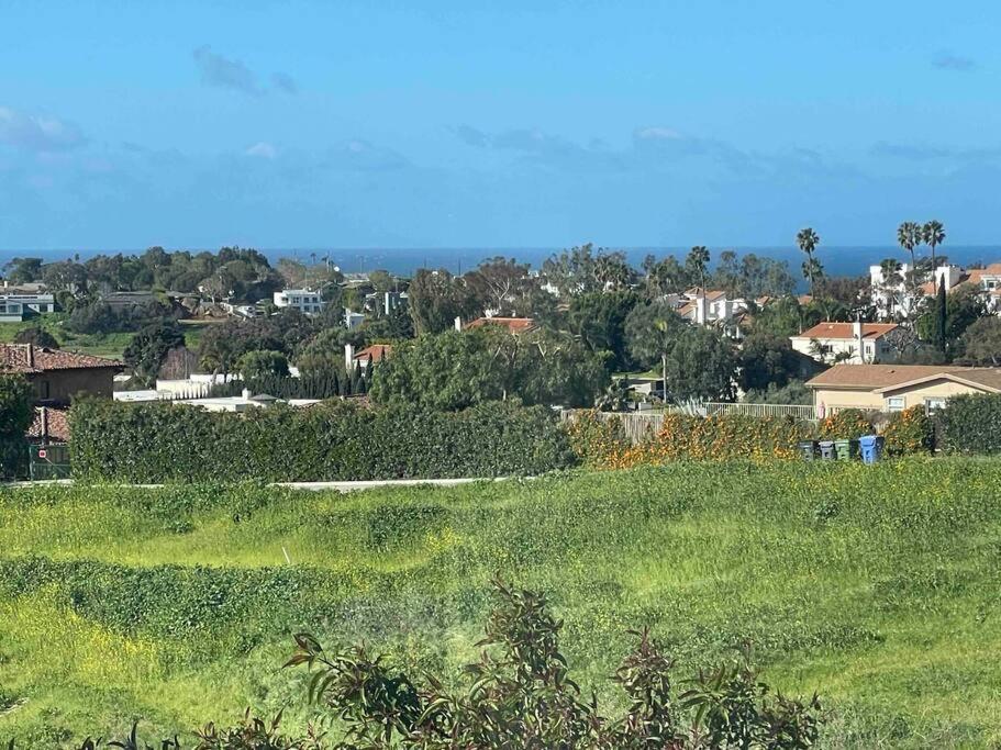 Apartment 30 Pct Off! Romantic Suite, Ocean View,