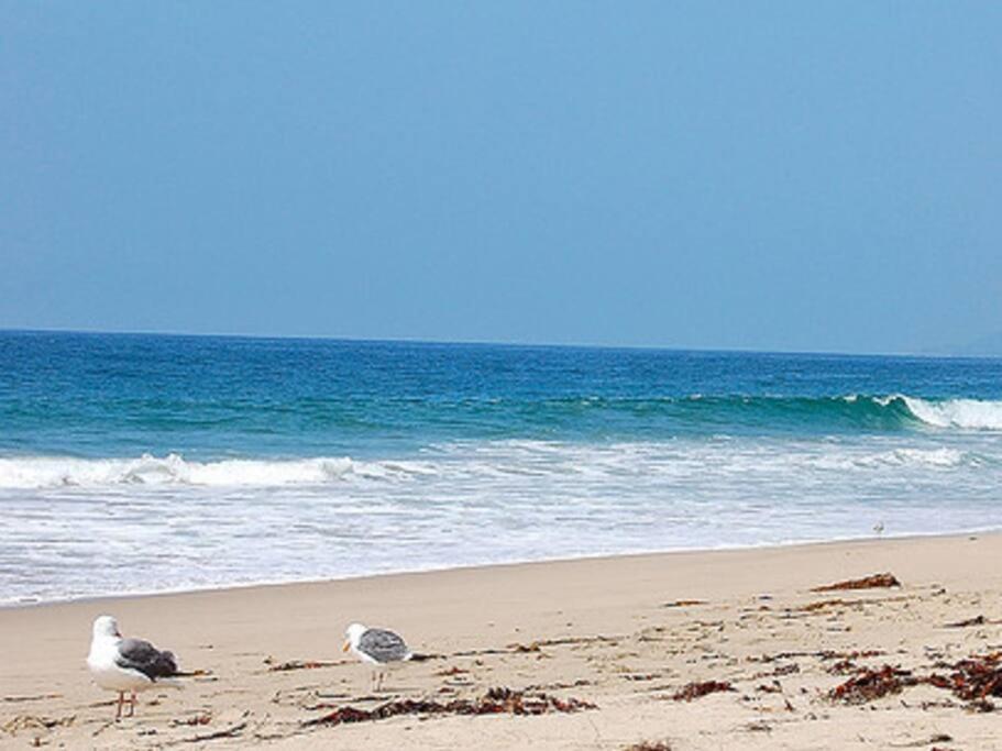 30 Pct Off!! Limited Time! Charming Getaway With King Bed, Near Apartment Malibu