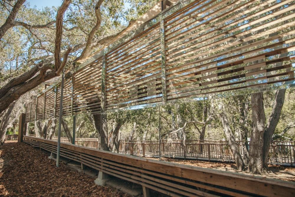 Calamigos Guest Ranch And Club Resort 5*