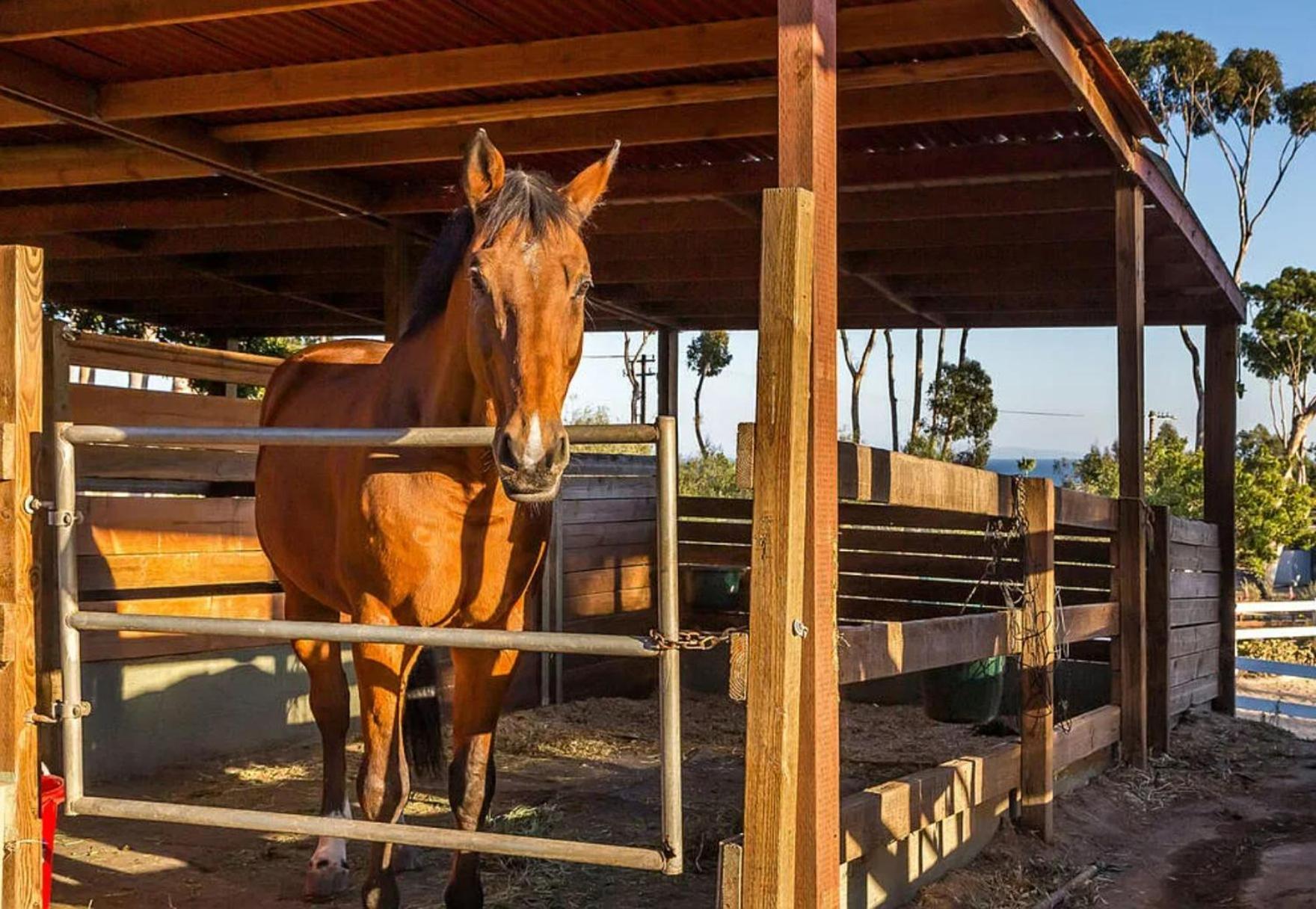Meadows Farm Apartment Malibu