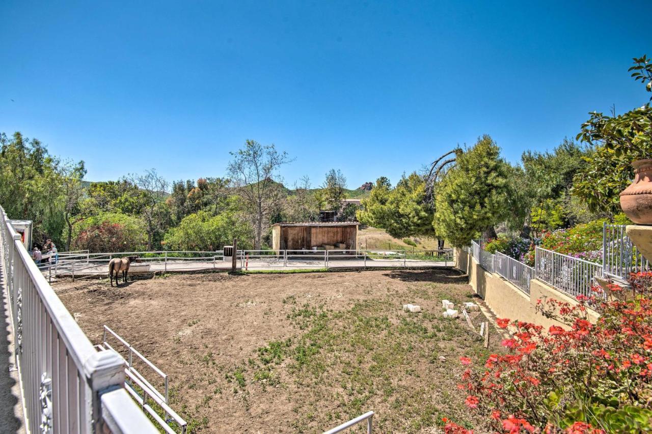 Mtn Retreat - Elegant Equestrian Paradise! Apartment