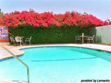 The M Motel 3*
