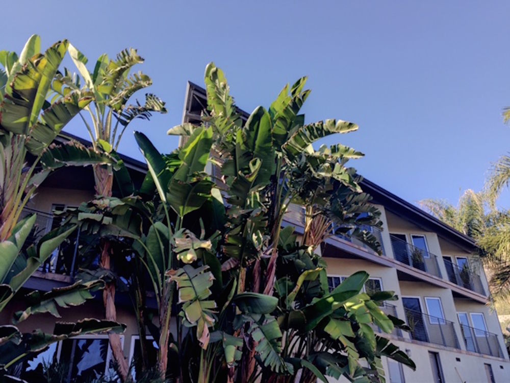 The M Motel